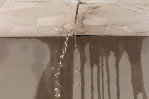 Professional Water Damage Repair technician working in Lewisville, TX